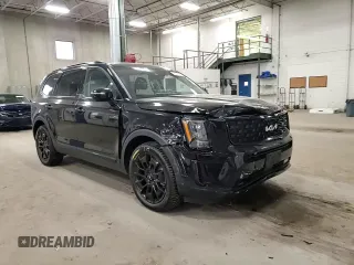 2022 Kia Telluride SX with VIN 5XYP5DHC1NG282155, listed as a Copart auction lot 53046715 with 43,921 mi miles and Salvage title. Bid and sale history available at DreamBid. Image 12.