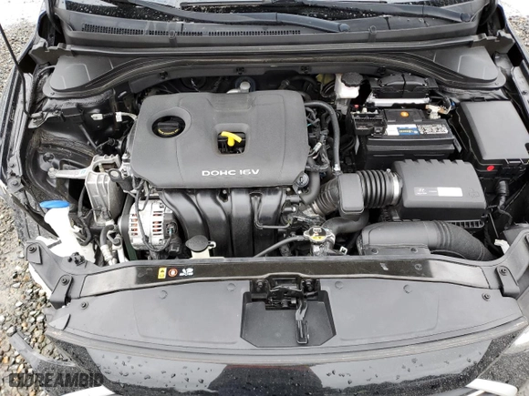 2018 Hyundai Elantra SE with VIN 5NPD74LF8JH317811, listed as a Copart auction lot 50036305 with 43,569 mi miles and Salvage Title. Bid and sale history available at carsss.com. Image 11.
