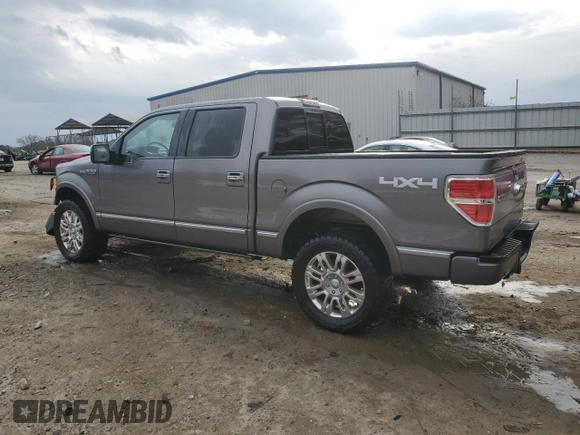 2010 Ford F-150 XL with VIN 1FTFW1EV8AFA22412, listed as a Copart auction lot 42259025 with 249,847 mi miles and Salvage title. Bid and sale history available at DreamBid. Image 2.
