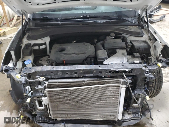 2019 Hyundai Santa Fe SEL with VIN 5NMS3CAD2KH115933, listed as a Copart auction lot 48519895 with 89,229 mi miles and Salvage Title. Bid and sale history available at carsss.com. Image 12.