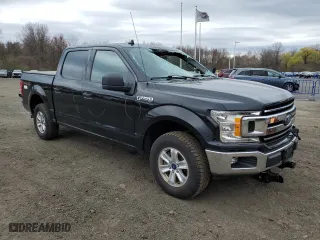 2019 Ford F-150 XL with VIN 1FTEW1E5XKFB19818, listed as a Copart auction lot 52922125 with 161,835 mi miles and Salvage Title. Bid and sale history available at carsss.com. Image 4.