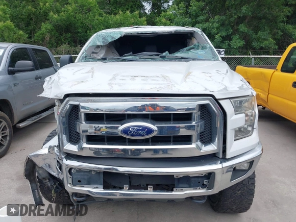 2016 Ford F-150 XLT with VIN 1FTEW1EF9GFA23176, listed as a IAAI auction lot 42142336 with 178,446 mi miles and . Bid and sale history available at carsss.com. Image 6.
