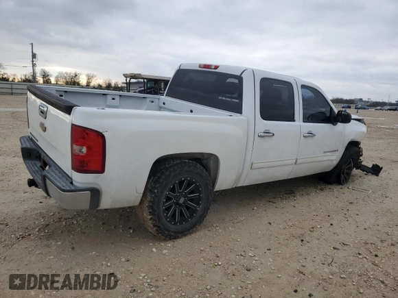2009 Chevrolet Silverado 1500 LT with VIN 2GCEC23C191139697, listed as a Copart auction lot 88074455 with 243,119 mi miles and Salvage Title. Bid and sale history available at carsss.com. Image 3.