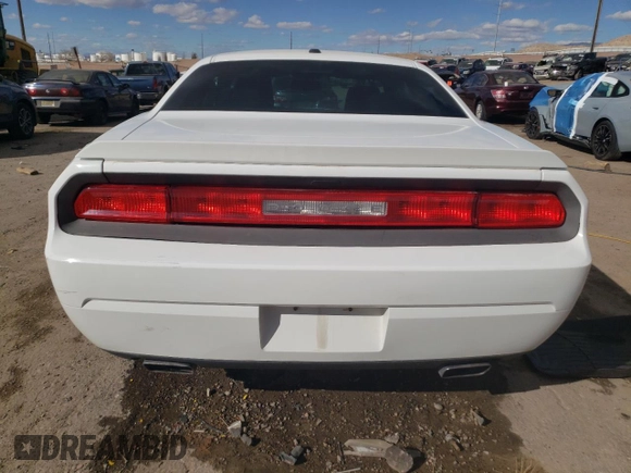 2013 Dodge Challenger R/T with VIN 2C3CDYBT3DH535790, listed as a Copart auction lot 48529355 with 250,497 mi miles and Salvage Title. Bid and sale history available at carsss.com. Image 6.