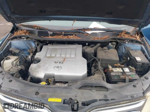 2010 Toyota Venza with VIN 4T3ZK3BB3AU025375, listed as a IAAI auction lot 42525541 with 285,349 mi miles and . Bid and sale history available at DreamBid. Image 10.
