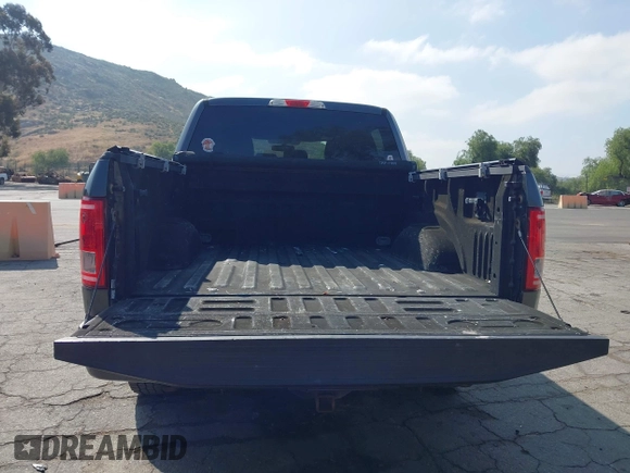 2016 Ford F-150 XL with VIN 1FTEW1CP6GFA14009, listed as a IAAI auction lot 42194216 with 119,523 mi miles and . Bid and sale history available at carsss.com. Image 16.