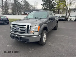 2010 Ford F-150 XL with VIN 1FTEW1E89AFA90482, listed as a Copart auction lot 54295605 with 130,947 mi miles and Clean Title. Bid and sale history available at carsss.com. Image 1.