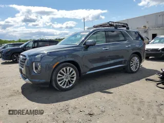 2020 Hyundai Palisade Limited with VIN KM8R5DHE4LU124555, listed as a Copart auction lot 58223205 with 69,385 mi miles and Salvage title. Bid and sale history available at DreamBid. Image 1.