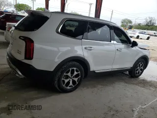 2020 Kia Telluride EX with VIN 5XYP34HCXLG047806, listed as a Copart auction lot 59591305 with 78,574 mi miles and Non repairable. Bid and sale history available at DreamBid. Image 3.