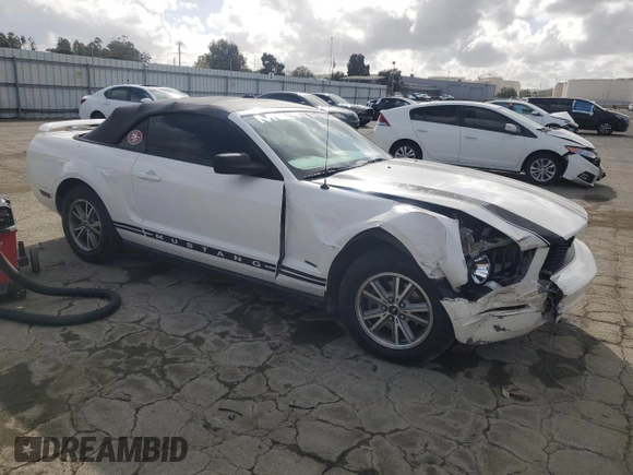 2005 Ford Mustang Deluxe with VIN 1ZVFT84N455250273, listed as a Copart auction lot 50923095 with Not Provided miles and Salvage Title. Bid and sale history available at carsss.com. Image 4.