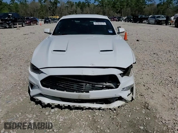 2019 Ford Mustang GT with VIN 1FA6P8CF4K5125387, listed as a Copart auction lot 47853315 with 46,302 mi miles and Salvage Title. Bid and sale history available at carsss.com. Image 14.