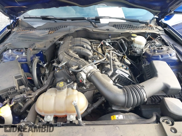 2015 Ford Mustang V6 with VIN 1FA6P8AM6F5411572, listed as a IAAI auction lot 42377268 with 56,049 mi miles and . Bid and sale history available at DreamBid. Image 10.