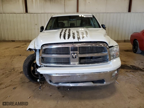 2010 Dodge Ram 1500 SLT with VIN 1D7RV1CT5AS154106, listed as a Copart auction lot 49603705 with 0 mi miles and Non Repairable. Bid and sale history available at carsss.com. Image 5.