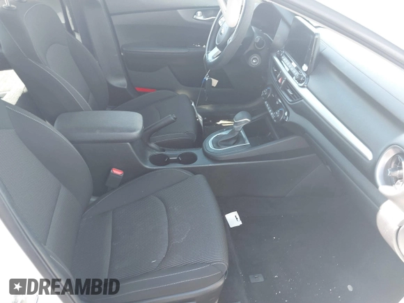 2019 Kia Forte LXS with VIN 3KPF24AD1KE098981, listed as a IAAI auction lot 41801267 with 53,055 mi miles. Bid and sale history available at carsss.com. Image 5.