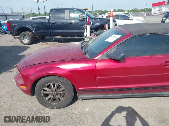 2006 Ford Mustang Standard with VIN 1ZVFT84N365190097, listed as a IAAI auction lot 42015242 with Not Provided miles and . Bid and sale history available at carsss.com. Image 12.