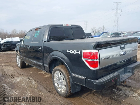 2013 Ford F-150 XL with VIN 1FTFW1ET2DFA66490, listed as a IAAI auction lot 41565863 with 215,421 mi miles. Bid and sale history available at carsss.com. Image 3.