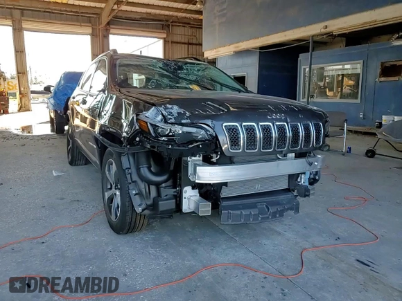 2022 Jeep Cherokee Limited with VIN 1C4PJMDN1ND546203, listed as a Copart auction lot 73985844 with 8,357 mi miles and Salvage title. Bid and sale history available at DreamBid. Image 12.