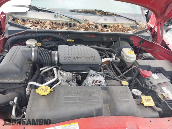 2004 Dodge Dakota SLT with VIN 1D7HL48N84S717599, listed as a IAAI auction lot 42132810 with 305,900 mi miles and . Bid and sale history available at carsss.com. Image 10.