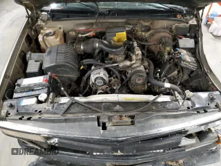 1998 Chevrolet Silverado 1500 with VIN 2GCEK19R9W1105382, listed as a Copart auction lot 87264814 with 290,006 mi miles and Salvage Title. Bid and sale history available at DreamBid. Image 13.
