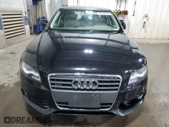 2009 Audi A4 Premium Plus with VIN WAUSF78K39A145608, listed as a Copart auction lot 53444015 with 155,982 mi miles and Salvage title. Bid and sale history available at DreamBid. Image 5.