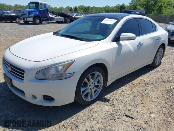 2010 Nissan Maxima 3.5 SV w/Premium Pkg with VIN 1N4AA5AP0AC864580, listed as a IAAI auction lot 42142007 with 186,845 mi miles. Bid and sale history available at carsss.com. Image 2.