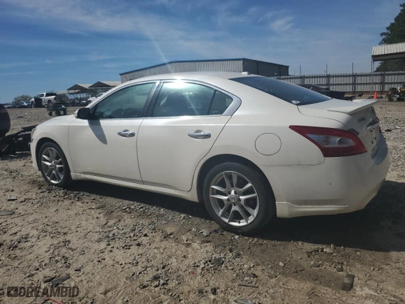 2010 Nissan Maxima 3.5 SV w/Premium Pkg with VIN 1N4AA5AP1AC844354, listed as a Copart auction lot 49237155 with 177,744 mi miles and Salvage Title. Bid and sale history available at carsss.com. Image 2.
