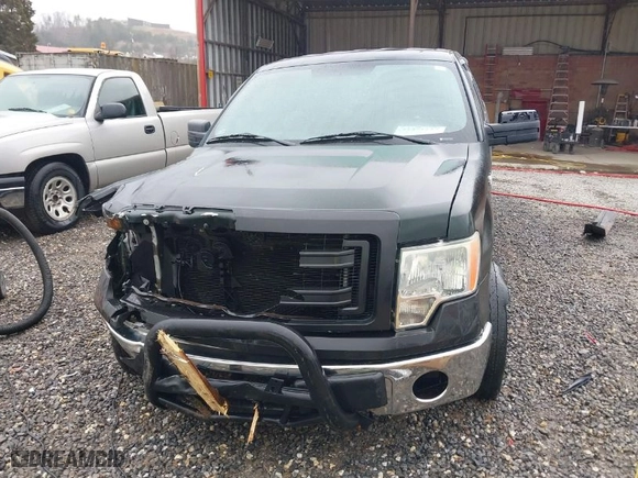2013 Ford F-150 XL with VIN 1FTFX1CF8DKG16549, listed as a IAAI auction lot 41471129 with NaN miles. Bid and sale history available at carsss.com. Image 13.