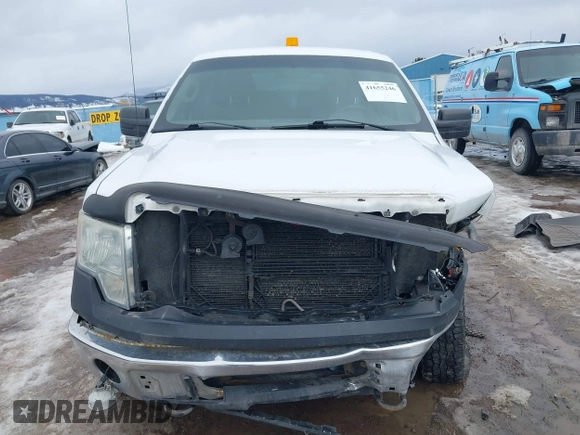 2010 Ford F-150 XL with VIN 1FTFX1EV0AKE32058, listed as a IAAI auction lot 41655246 with 185,671 mi miles and . Bid and sale history available at DreamBid. Image 12.