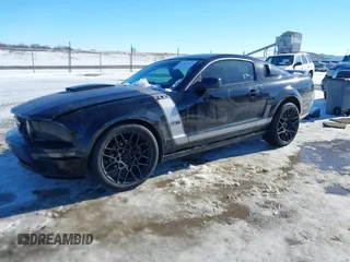 2007 Ford Mustang GT Deluxe with VIN 1ZVFT82H775319621, listed as a IAAI auction lot 41352594 with 123,842 mi miles. Bid and sale history available at carsss.com. Image 18.
