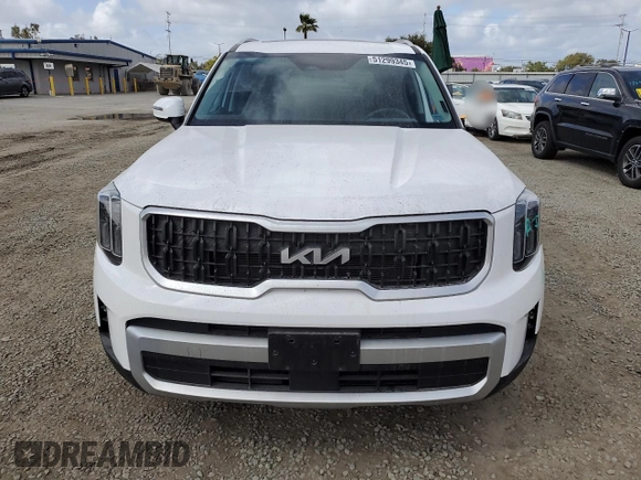 2024 Kia Telluride EX with VIN 5XYP34GC7RG504047, listed as a Copart auction lot 51299345 with 19,721 mi miles and Salvage title. Bid and sale history available at DreamBid. Image 5.