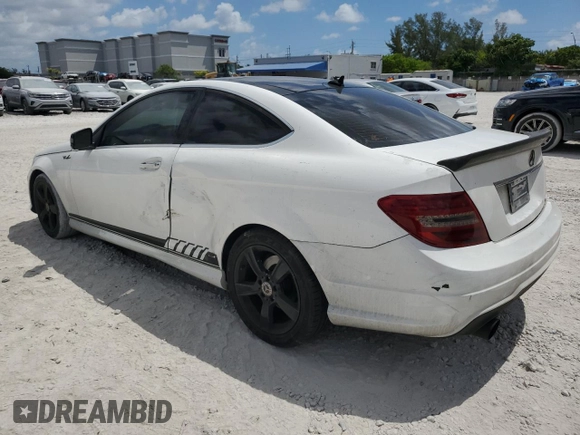 2014 Mercedes-Benz C 250 with VIN WDDGJ4HB5EG197566, listed as a Copart auction lot 53787975 with 124,003 mi miles and Salvage Title. Bid and sale history available at DreamBid. Image 2.