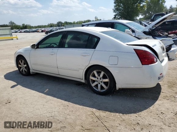 2006 Nissan Maxima 3.5 SE with VIN 1N4BA41E56C813547, listed as a Copart auction lot 71209564 with 178,680 mi miles and Salvage Title. Bid and sale history available at carsss.com. Image 2.