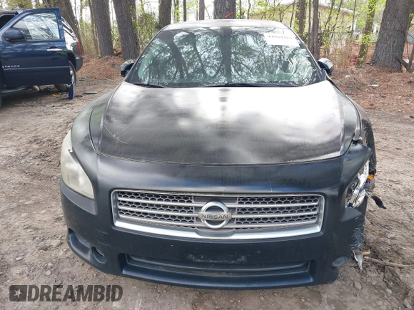 2009 Nissan Maxima SV with VIN 1N4AA51E39C841742, listed as a IAAI auction lot 41964426 with 165,199 mi miles and . Bid and sale history available at DreamBid. Image 12.