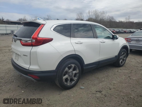 2019 Honda CR-V EX with VIN 2HKRW2H50KH673989, listed as a Copart auction lot 49255695 with 36,278 mi miles and Salvage Title. Bid and sale history available at DreamBid. Image 3.