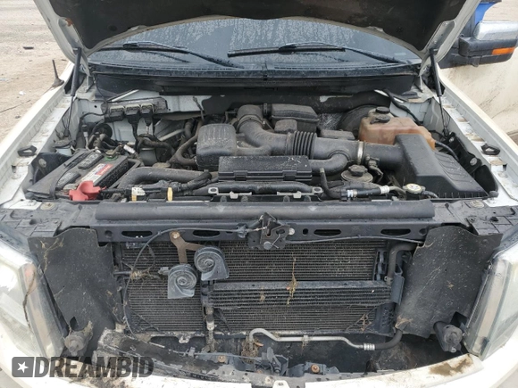 2009 Ford F-150 XL z VIN 1FTPW14V19KB33070, wystawiony jako Copart lot #55521345 z przebiegiem Nie podano mil oraz Szkoda całkowita • Salvage title. Historia ofert i sprzedaży dostępna na DreamBid. Obrazek 11.