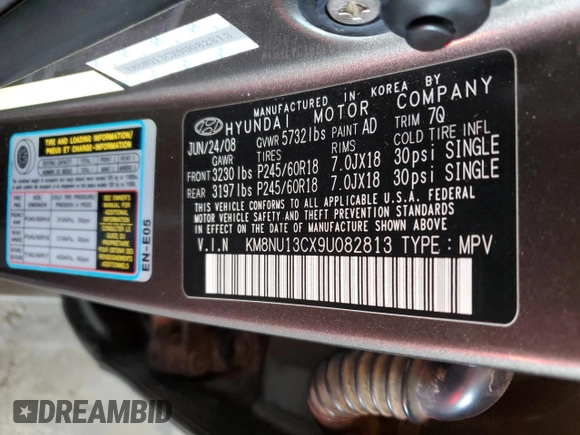 2009 Hyundai Veracruz GLS with VIN KM8NU13CX9U082813, listed as a Copart auction lot 49633575 with 183,370 mi miles and Salvage title. Bid and sale history available at DreamBid. Image 13.