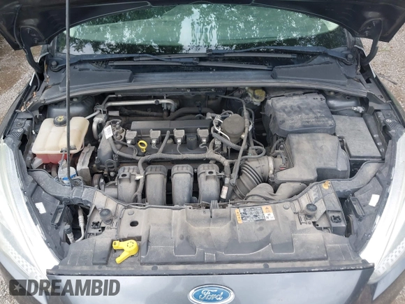2016 Ford Focus SE with VIN 1FADP3F2XGL309724, listed as a IAAI auction lot 42744586 with 148,140 mi miles and . Bid and sale history available at DreamBid. Image 10.