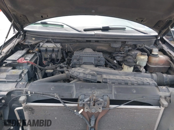 2008 Ford F-150 XLT with VIN 1FTPW12V48FB18833, listed as a IAAI auction lot 42333276 with 227,013 mi miles and . Bid and sale history available at DreamBid. Image 10.