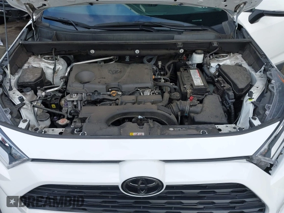 2019 Toyota RAV4 XLE with VIN 2T3W1RFV5KW051023, listed as a IAAI auction lot 40970612 with 106,359 mi miles and . Bid and sale history available at DreamBid. Image 10.