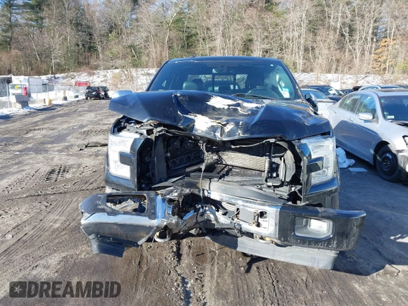 2017 Ford F-150 XL with VIN 1FTEW1EGXHFB14984, listed as a IAAI auction lot 41546709 with 132,132 mi miles. Bid and sale history available at carsss.com. Image 12.