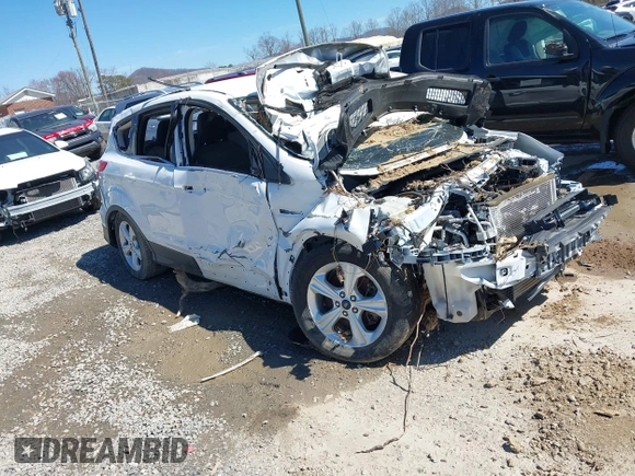 2015 Ford Escape SE with VIN 1FMCU9GX4FUB67273, listed as a IAAI auction lot 41812691 with Not Provided miles and . Bid and sale history available at DreamBid. Image 1.
