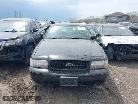 2010 Ford Police Interceptor with VIN 2FABP7BV3AX143703, listed as a IAAI auction lot 42005604 with 93,009 mi miles and . Bid and sale history available at DreamBid. Image 12.
