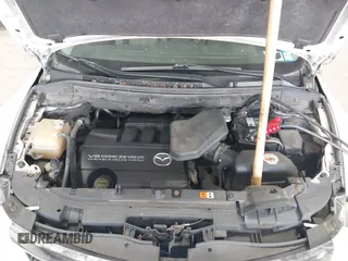 2009 Mazda CX-9 Touring with VIN JM3TB38V590164986, listed as a IAAI auction lot 42171833 with 258,565 mi miles and . Bid and sale history available at DreamBid. Image 10.