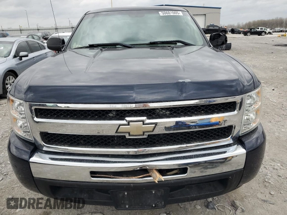 2011 Chevrolet Silverado 1500 Work Truck with VIN 1GCRCPEX7BZ182789, listed as a Copart auction lot 50601005 with 173,159 mi miles and Non Repairable. Bid and sale history available at DreamBid. Image 5.
