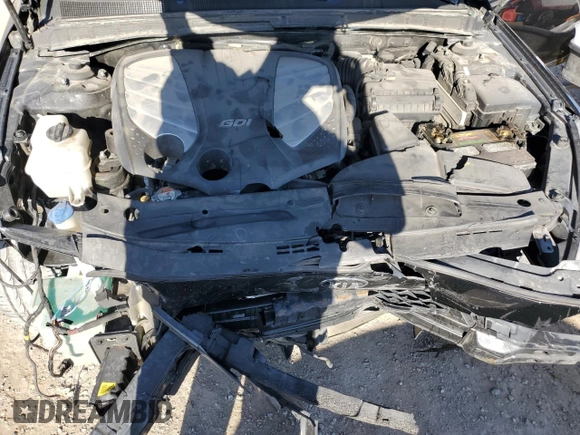 2014 Kia Cadenza Premium with VIN KNALN4D70E5126542, listed as a Copart auction lot 48663474 with Not Provided miles and Salvage Title. Bid and sale history available at carsss.com. Image 11.