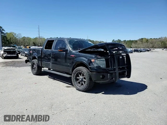 2013 Ford F-150 XL with VIN 1FTFW1ETXDFC09265, listed as a Copart auction lot 48344915 with 163,261 mi miles and Salvage Title. Bid and sale history available at DreamBid. Image 14.