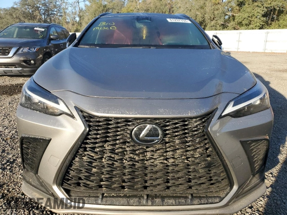 2023 Lexus NX with VIN 2T2KGCEZ5PC018194, listed as a Copart auction lot 81297334 with Not Provided miles and Non Repairable. Bid and sale history available at carsss.com. Image 5.
