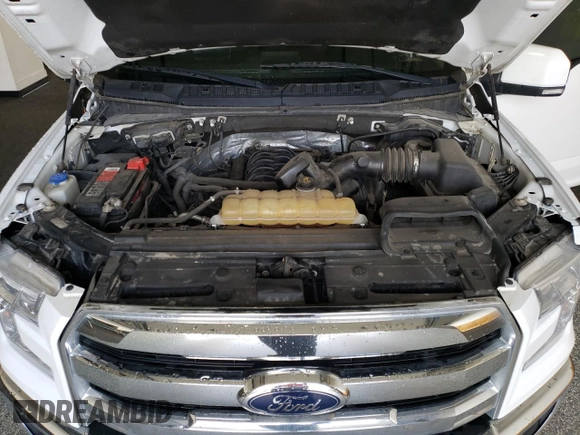 2017 Ford F-150 XL with VIN 1FTEW1EF5HFB70838, listed as a Copart auction lot 62206435 with 79,742 mi miles and Clean title. Bid and sale history available at DreamBid. Image 11.