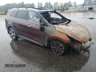 2016 Kia Sorento EX with VIN 5XYPH4A52GG123215, listed as a Copart auction lot 67654034 with Not Provided miles and Salvage Title. Bid and sale history available at DreamBid. Image 4.