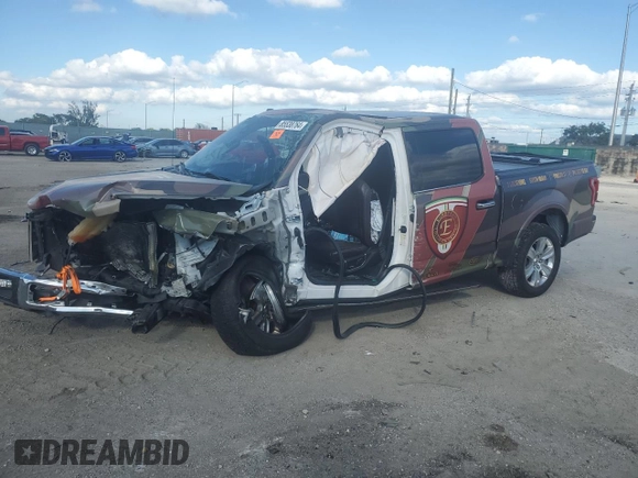 2017 Ford F-150 XL with VIN 1FTEW1EF9HFC50384, listed as a Copart auction lot 85538764 with Not provided miles and Salvage title. Bid and sale history available at DreamBid. Image 1.